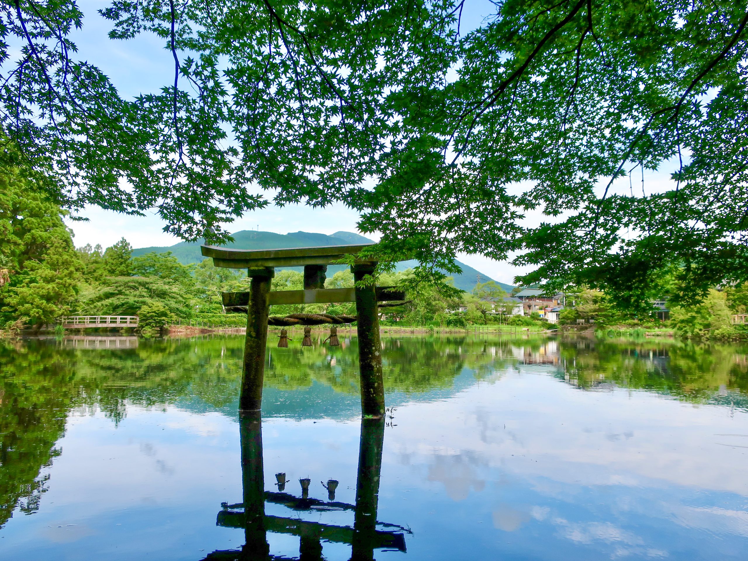 天祖神社の知られざる歴史とご利益｜都内に広がる信仰の謎