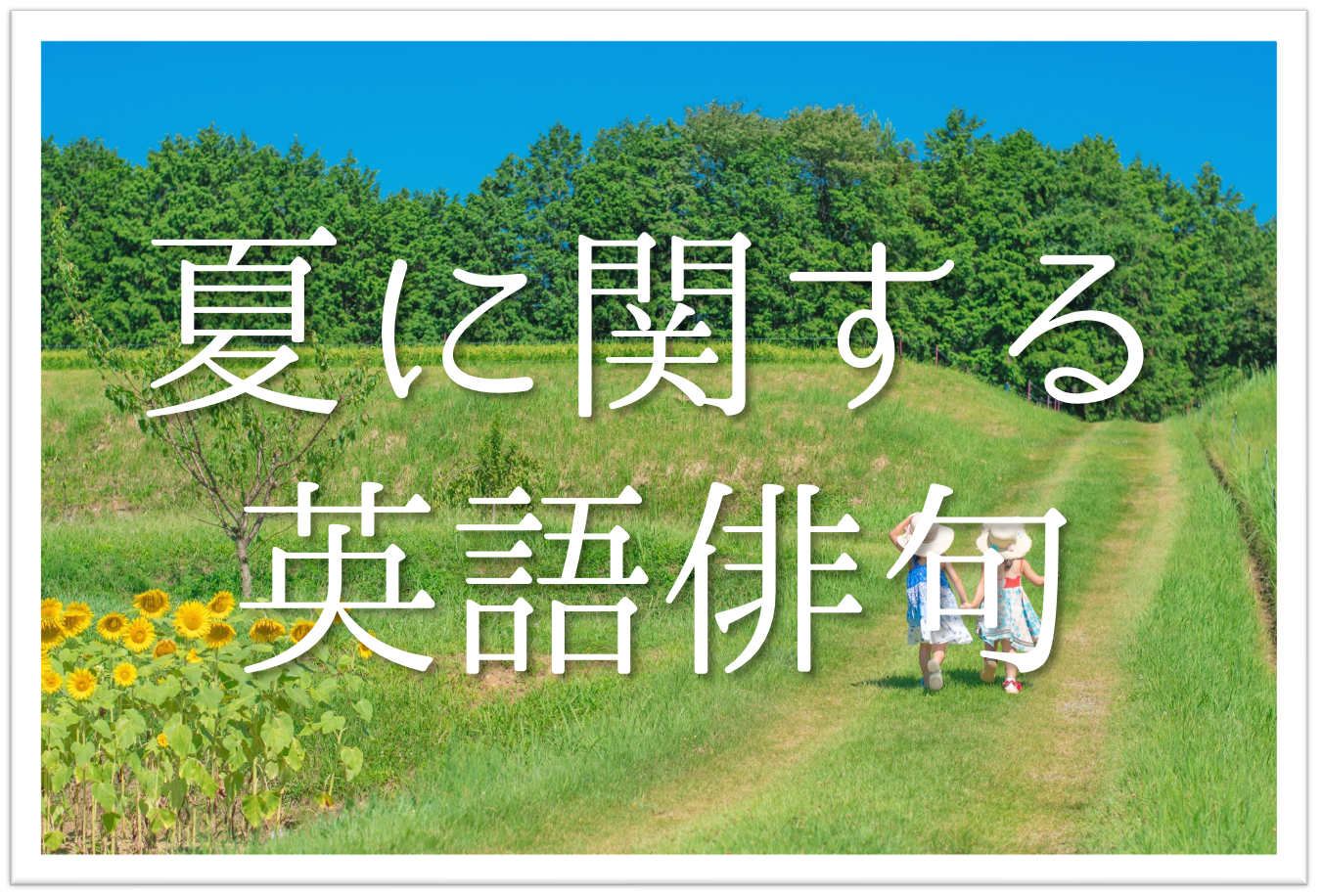 【2026最新】中学生の夏俳句！10分で宿題完了＆高評価の極意
