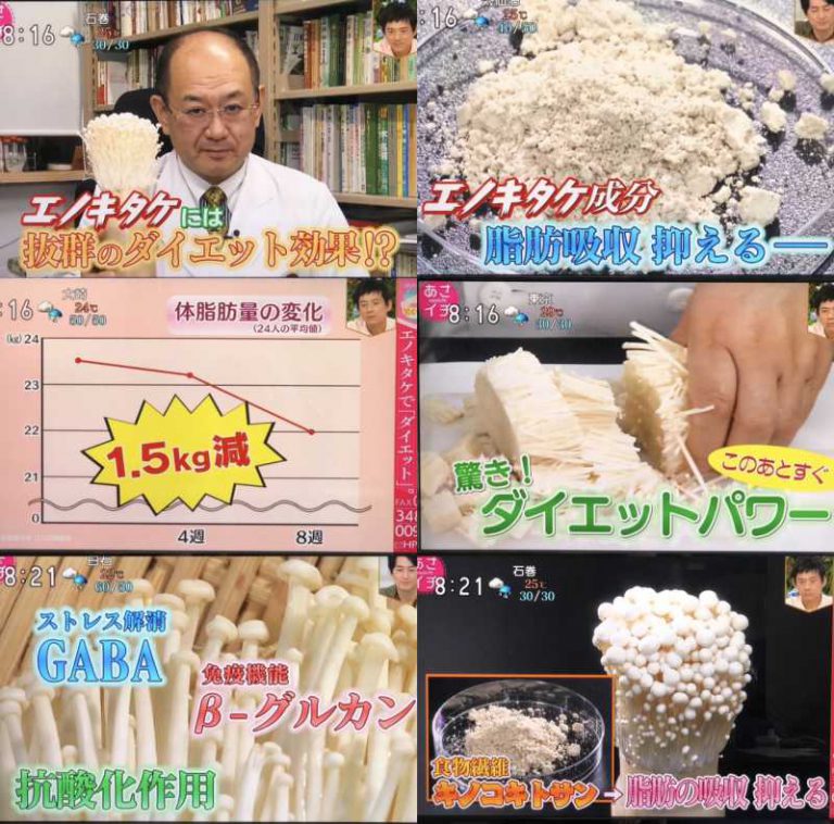 【2026年最新検証】「えのき ダイエット 痩せ た」報告がSnsで激増中！1株100円のキノコが体脂肪と内臓脂肪を削ぎ落とす科学的理由
