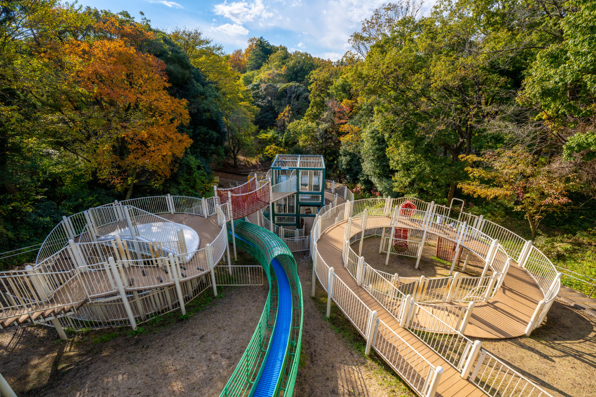こども自然公園の駐車場が満車になる理由と2026年最新攻略