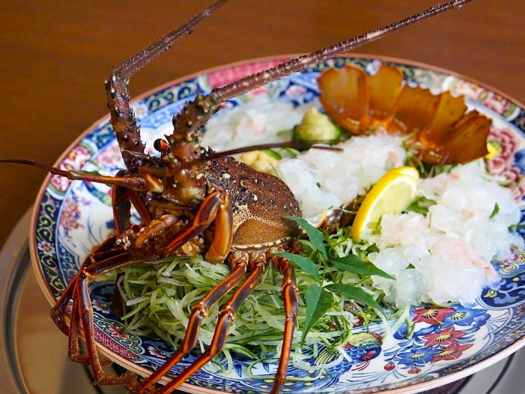 高知の伊勢海老が美味い理由とは？旬の解禁日と穴場格安店を徹底調査【2026最新】