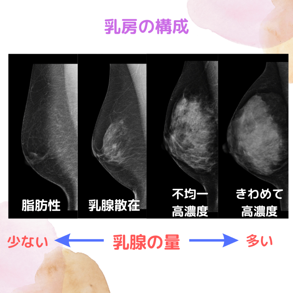 そのシミは肝斑？悪化を防ぐ2026年最新治療と失敗しない見分け方