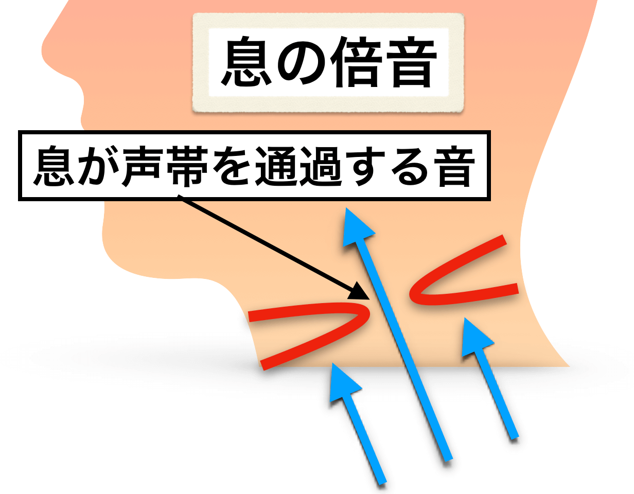 人を惹きつける倍音の出し方徹底解説｜声の響きを変える実践ボイトレ