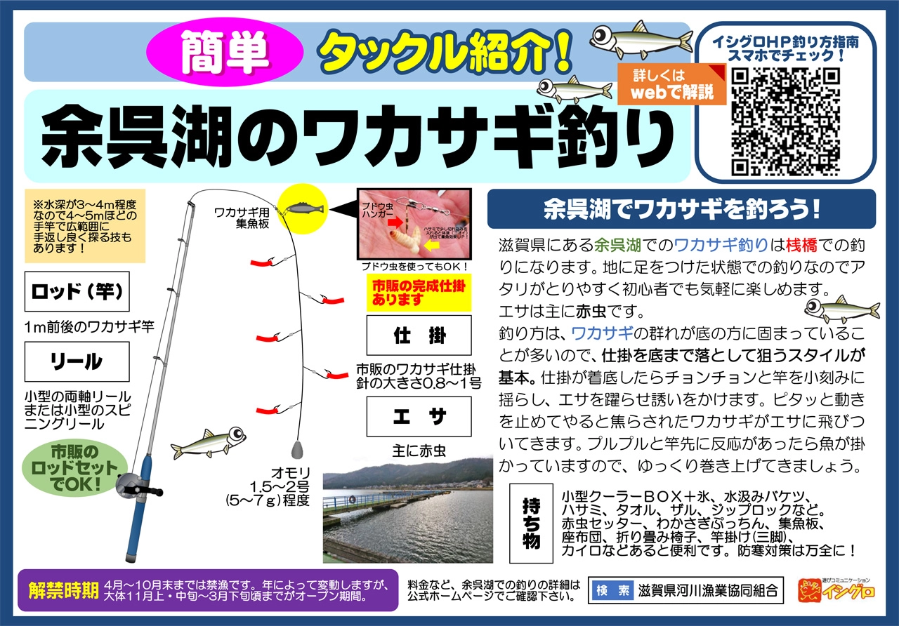 余呉湖ワカサギ釣り完全攻略2026｜釣れない噂の真相と爆釣の秘訣