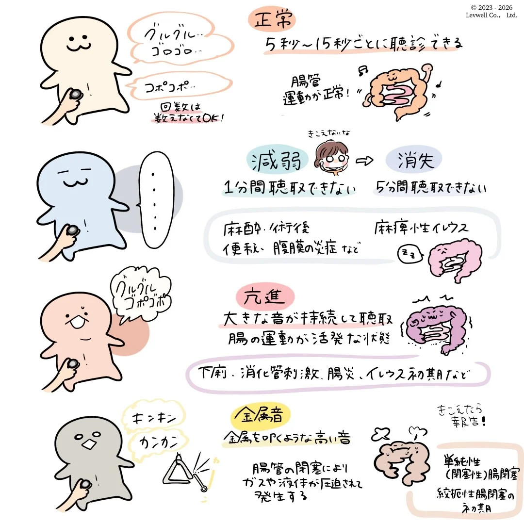 腸蠕動音の正体とは？お腹の鳴り・異常サインと受診目安を徹底解説