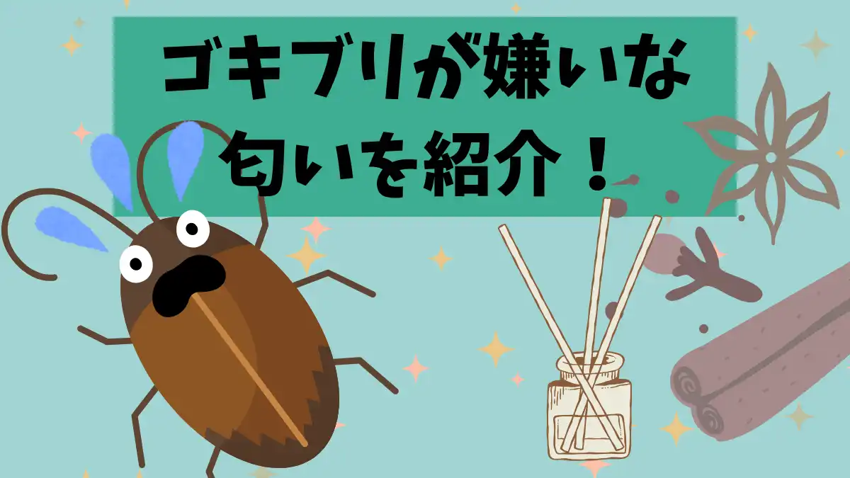ゴキブリが嫌いな匂い決定版！ハッカ油の真相と逆効果な香り【2026】
