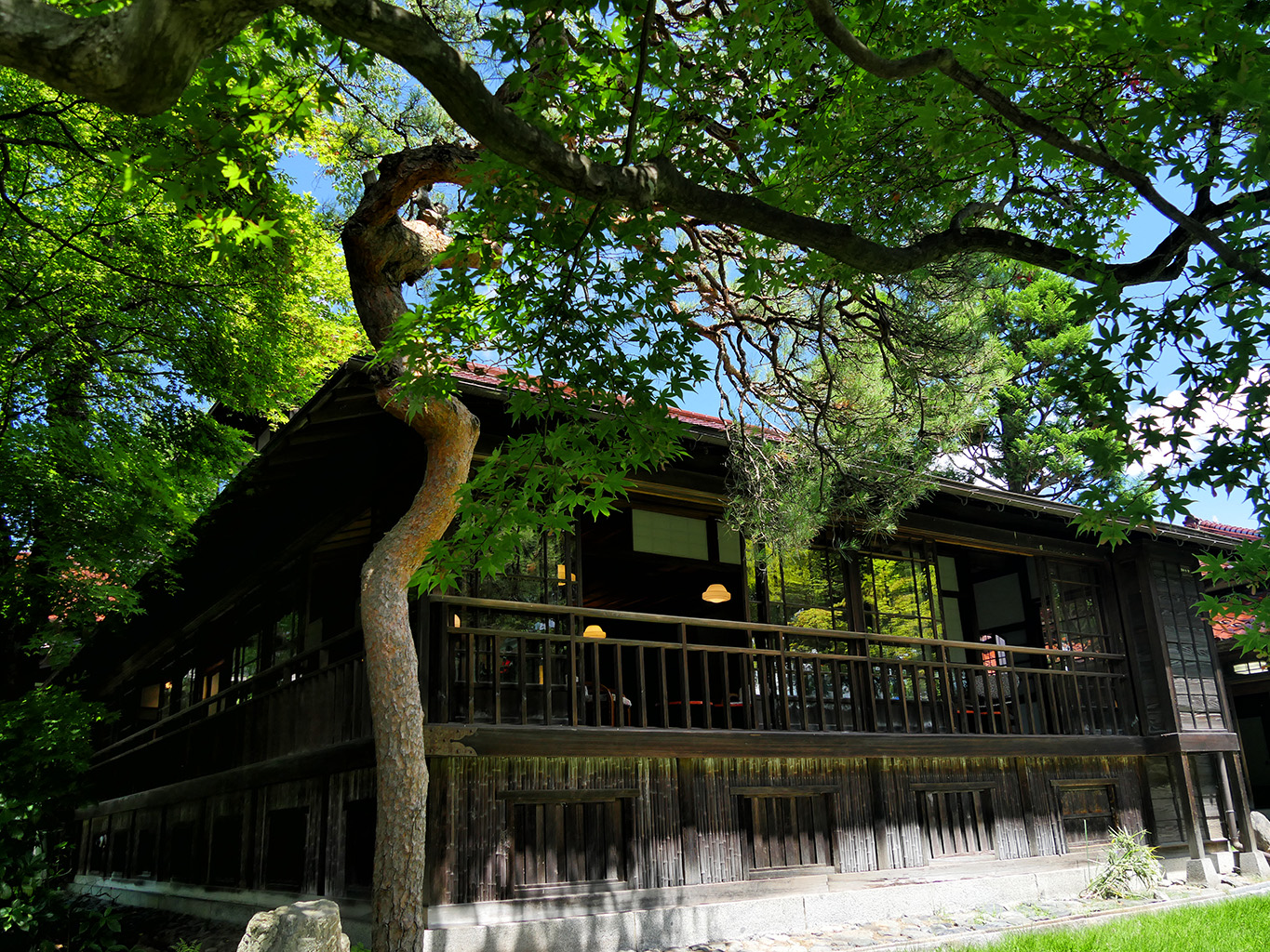 盛岡の至宝・南昌荘の光と影｜床もみじの絶景と名画ロケ地の真相