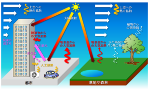 異臭を放つ「光らない松明」が都市部で異常繁殖？謎の奇菌「キツネ ノ タイマツ」が2026年の梅雨に警告する生態系の地殻変動