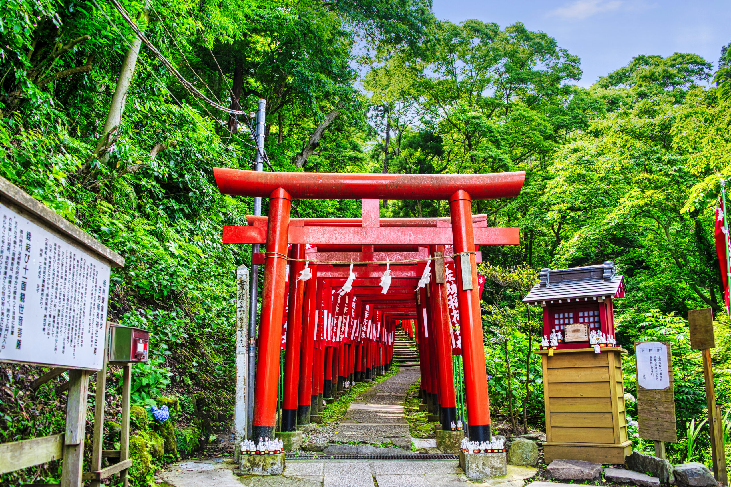 鎌倉・佐助稲荷神社が出世の聖地と呼ばれる真相と2026年最新参拝ガイド