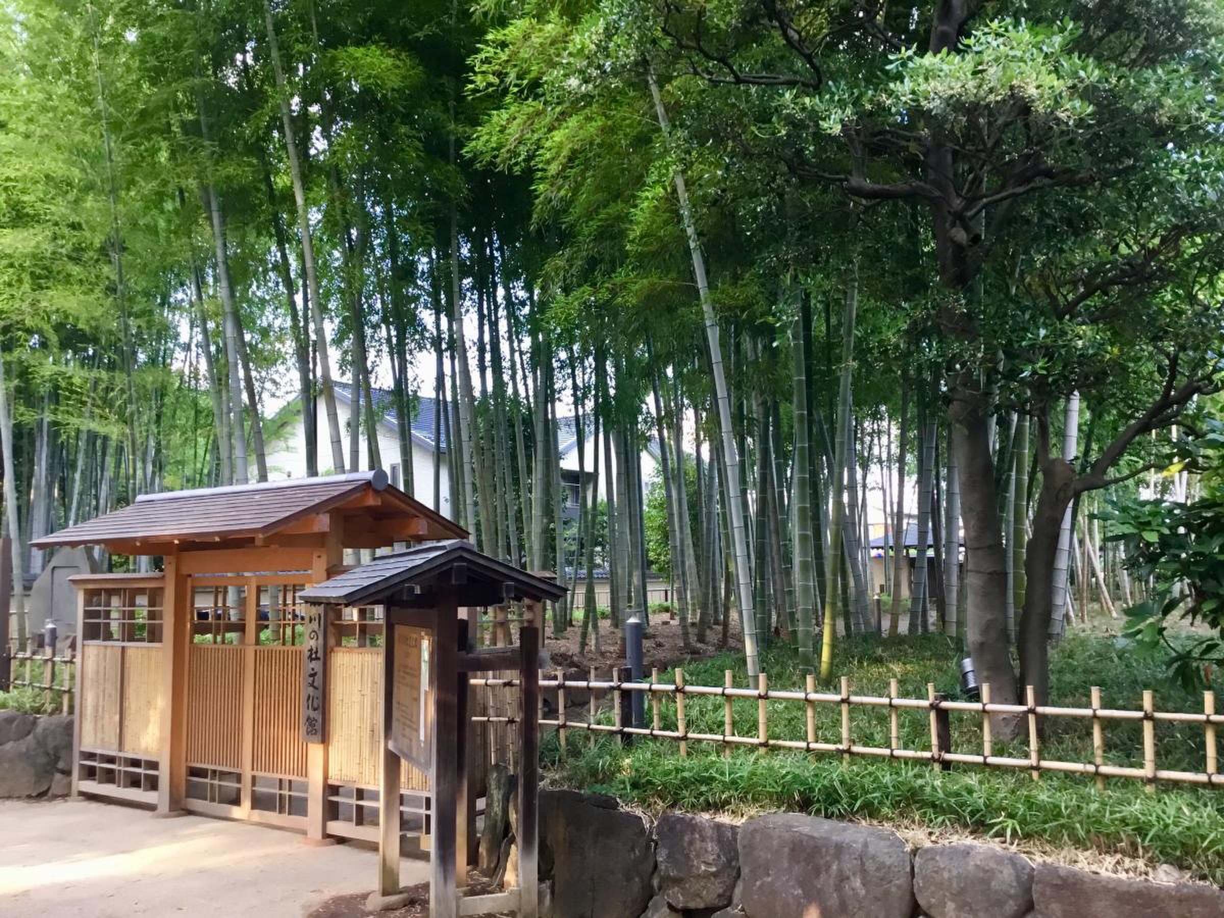 大宮・氷川の杜文化館の知られざる魅力とは？能舞台・茶室の利用法を徹底解説