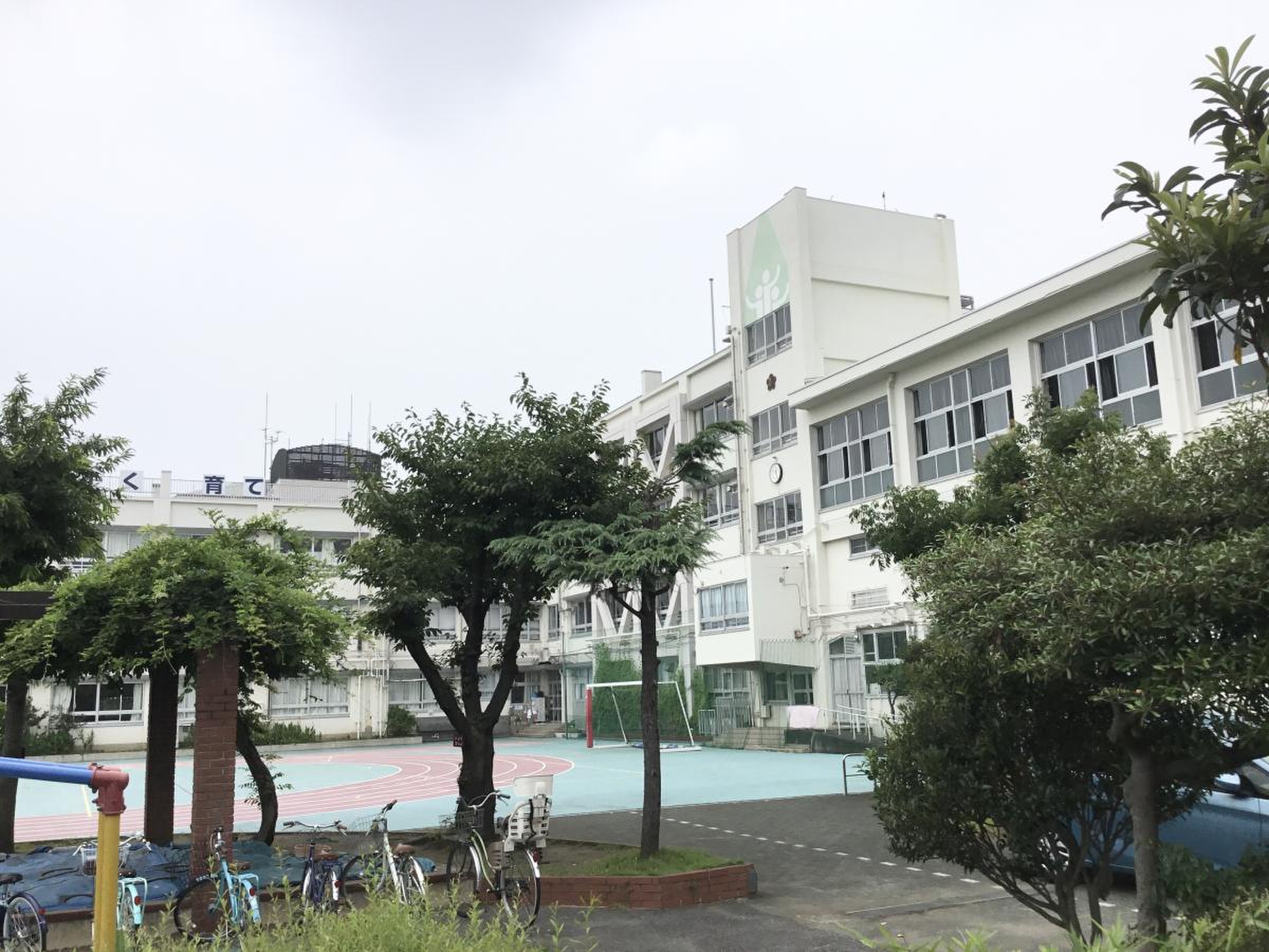 江戸川区立大杉小学校の評判と学区事情｜中学受験・施設の実態を徹底解剖