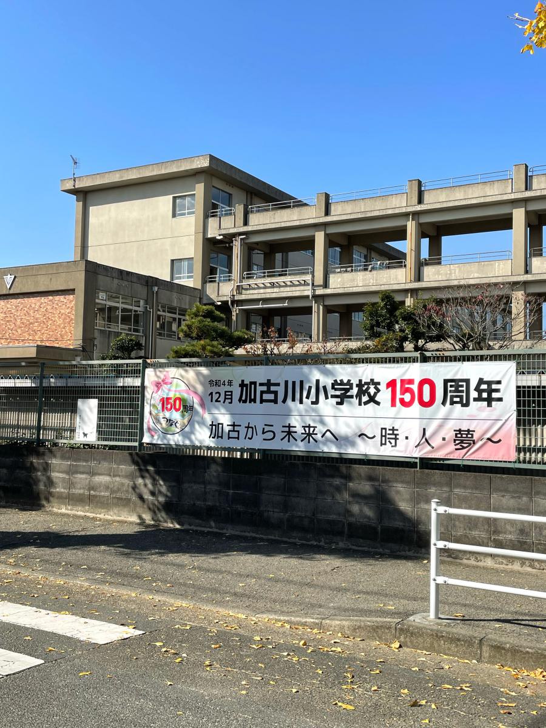 近くの小学校の評判と学区の調べ方｜治安や公立私立の差を徹底検証