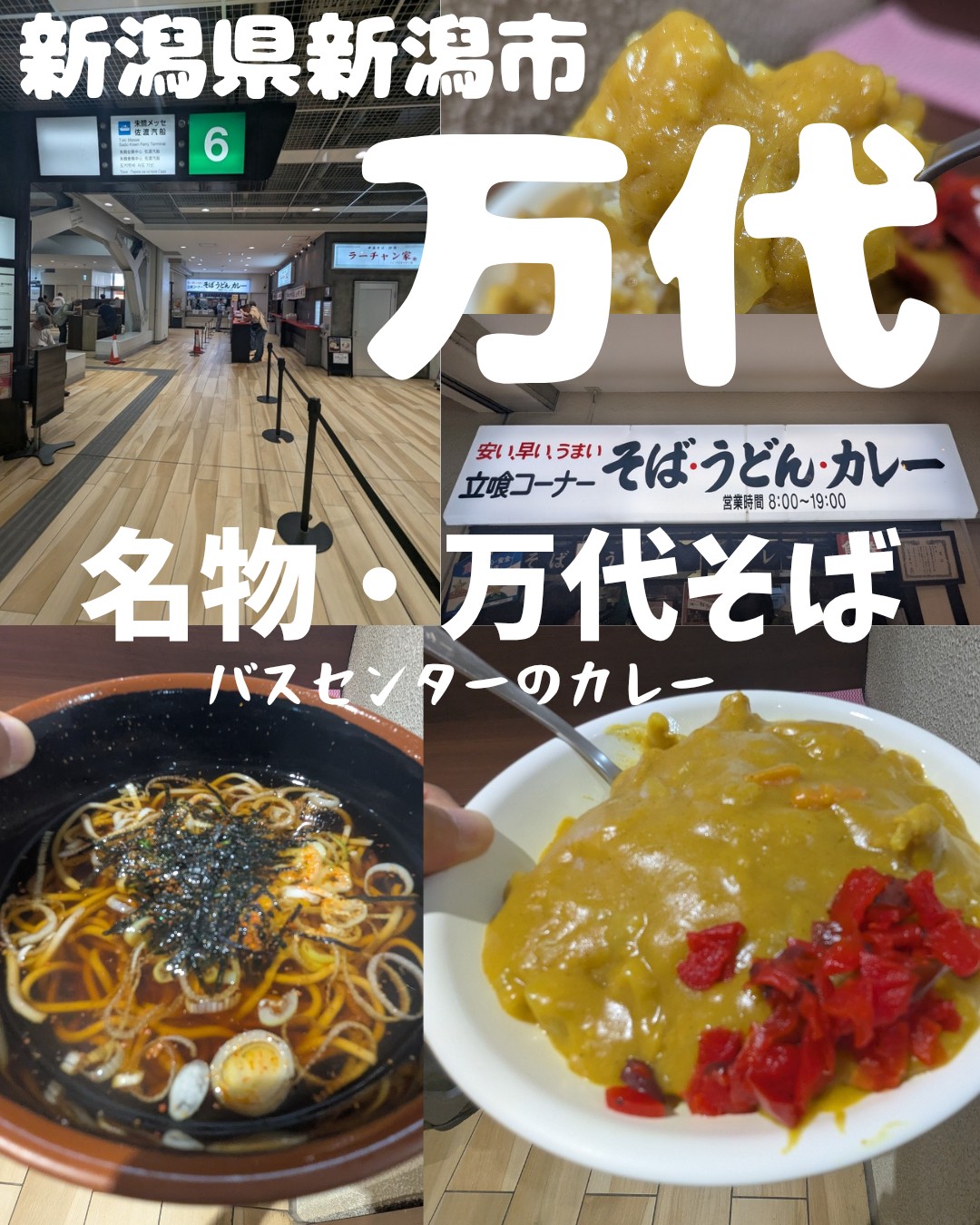 なぜ新潟のバス乗り場で1日1000杯売れるのか？2026年も進化が止まらない「万代そば」の黄色いカレー現象を徹底追跡