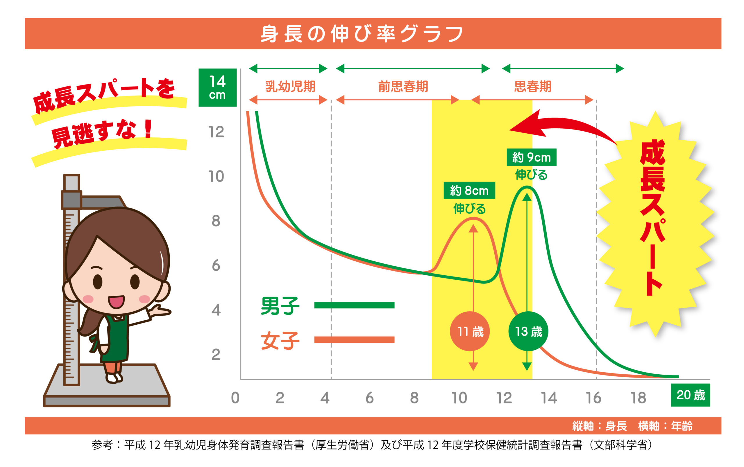 中学生の身長を伸ばす方法2026｜牛乳神話の真相と急激に伸びる条件