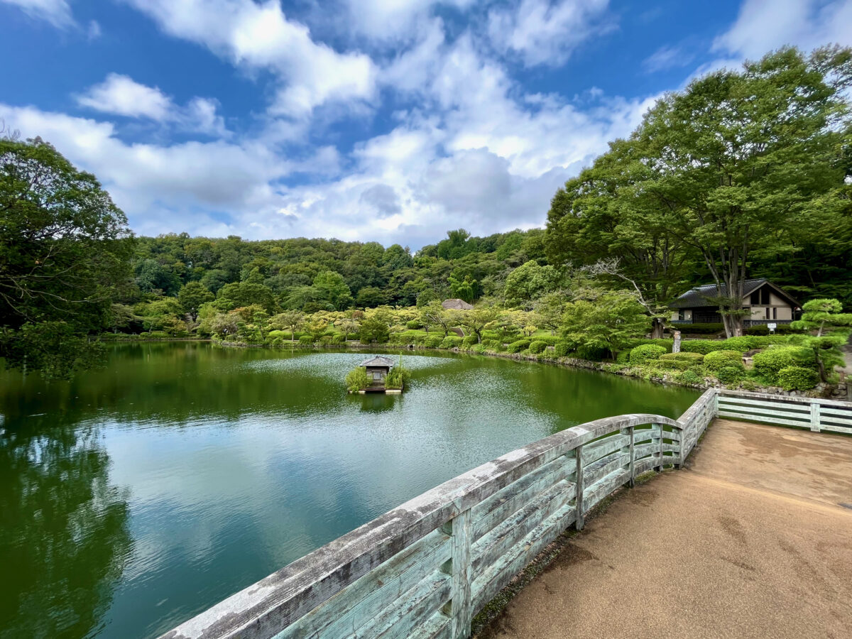 薬師池公園が今選ばれる理由とは？見頃の絶景と混雑回避術を徹底取材