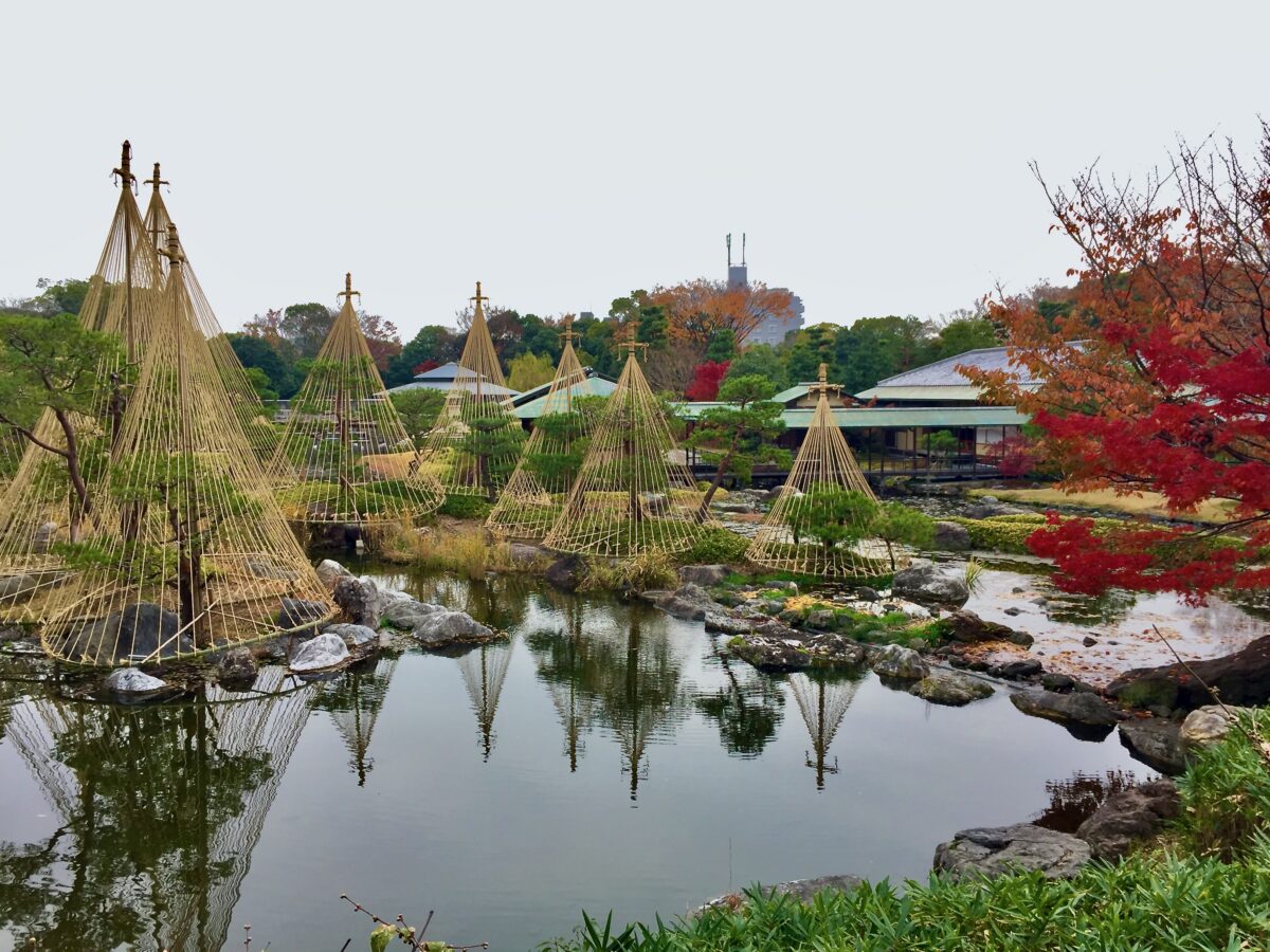 名古屋最大・白鳥庭園の極上案内！絶景ライトアップと穴場歩き