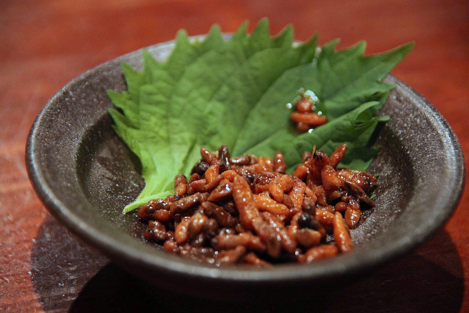 蜂の子の味は本当に美味？クリーミーと絶賛される真相と食感を徹底解明