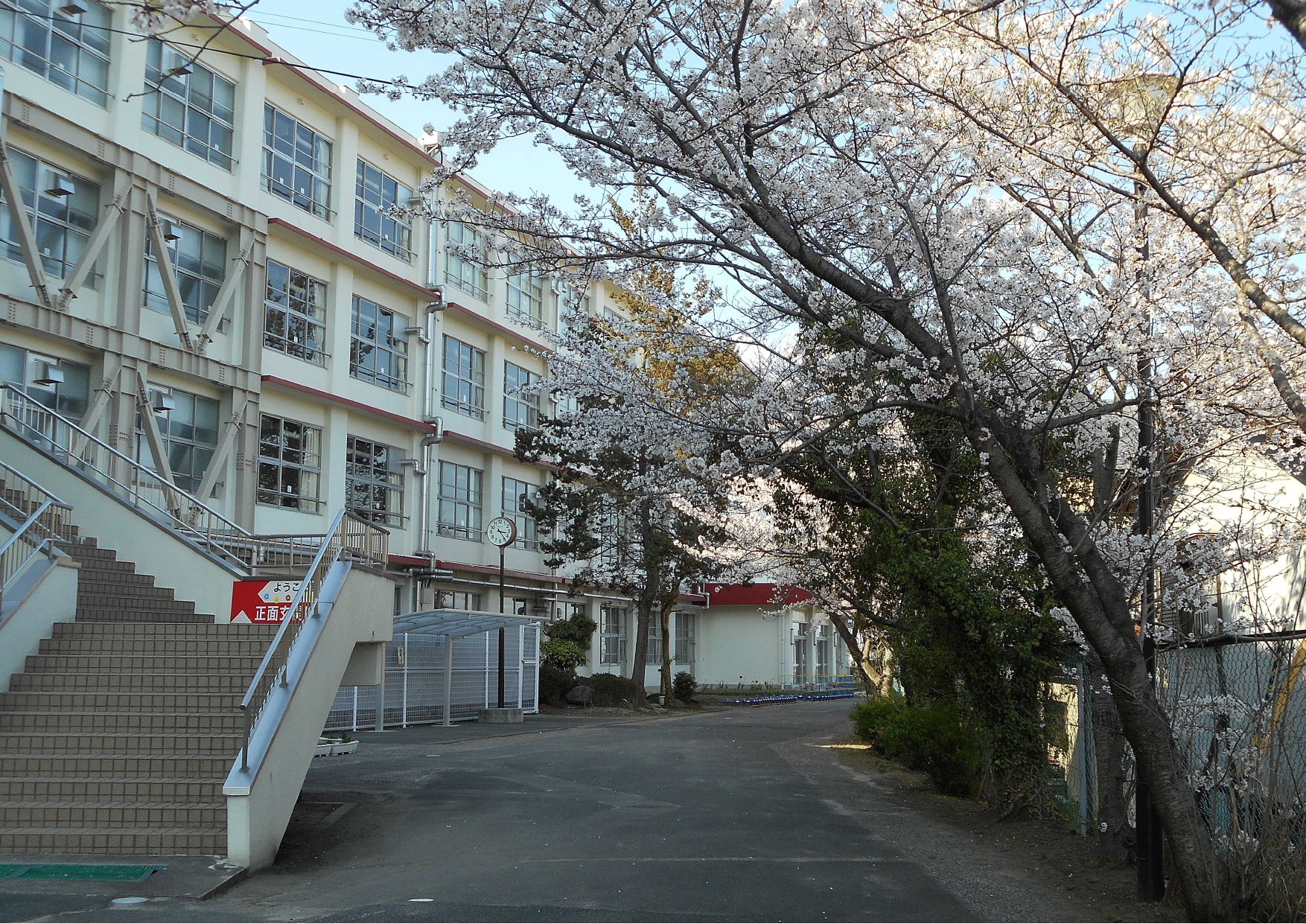 富士見小学校の評判と学区事情！中学受験や口コミの真相を徹底調査
