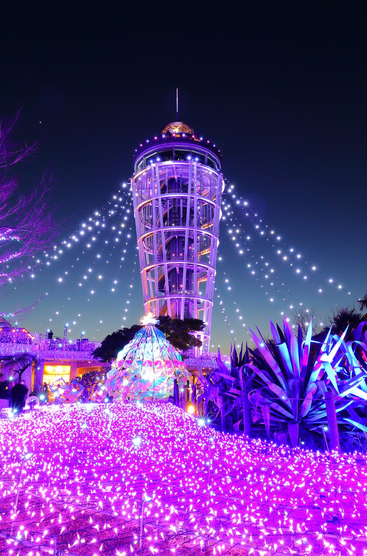 湘南の宝石を完全攻略！冬の江ノ島クリスマス絶景穴場＆デート術