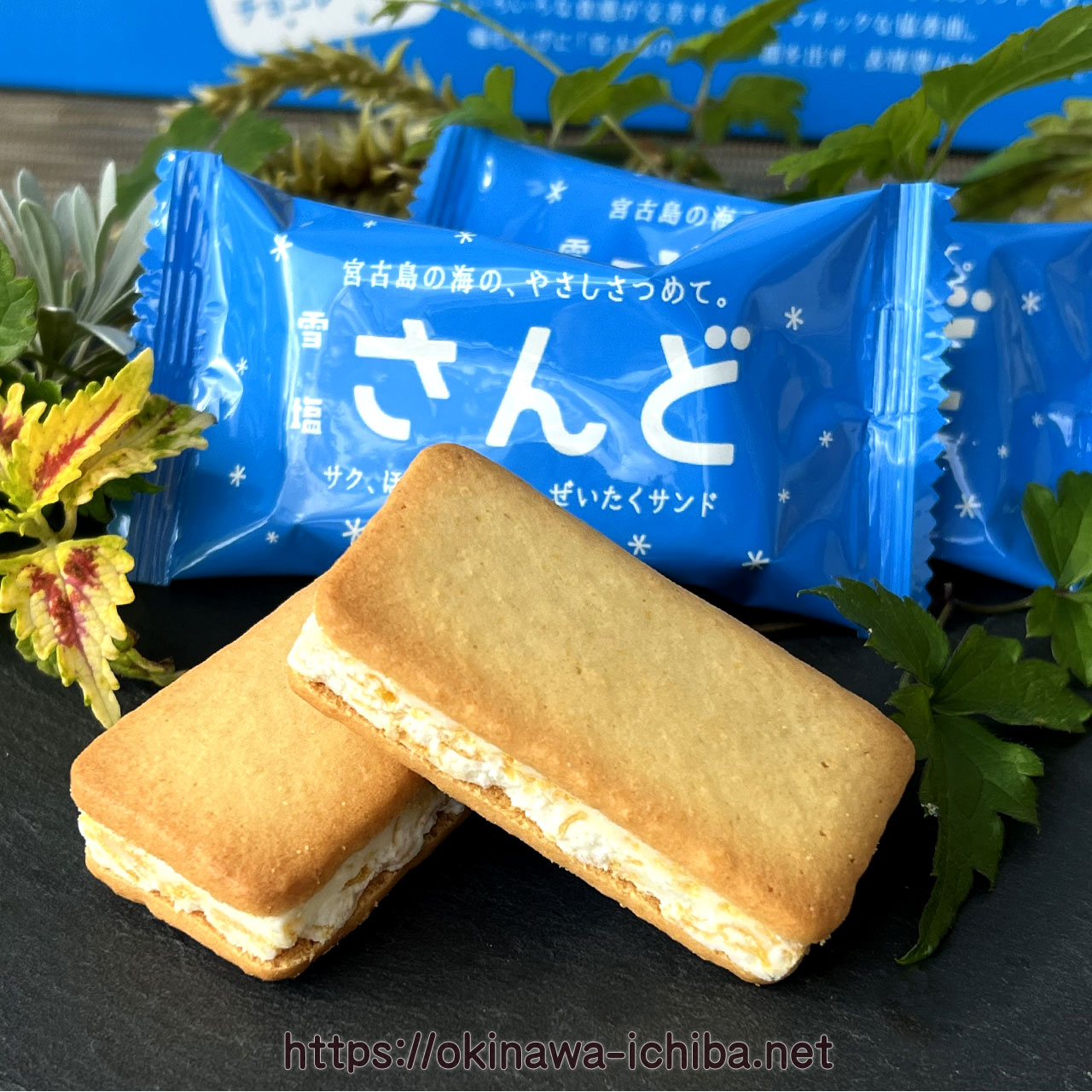 雪塩サンドはまずい？口コミ評判の真相と販売店・カロリーを徹底検証