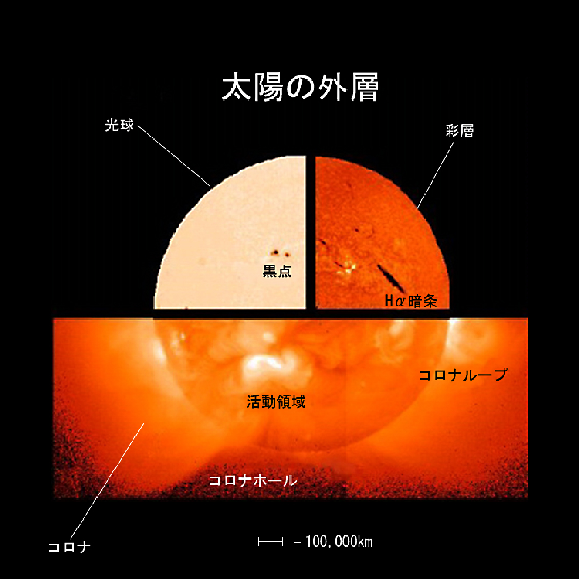 太陽建機の評判はやばい？噂の真相と2026年最新の実態を徹底解剖