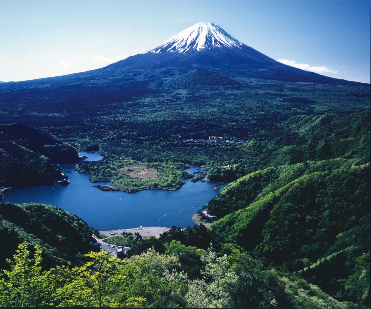 富士山樹空の森完全攻略！自衛隊展示と絶景穴場をプロが現地取材