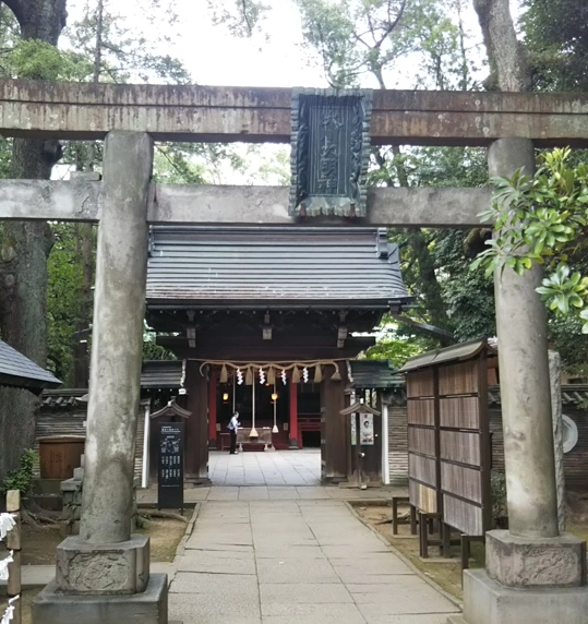 願いが叶う神社最強ガイド！奇跡を呼ぶ開運スポットと正しい参拝作法