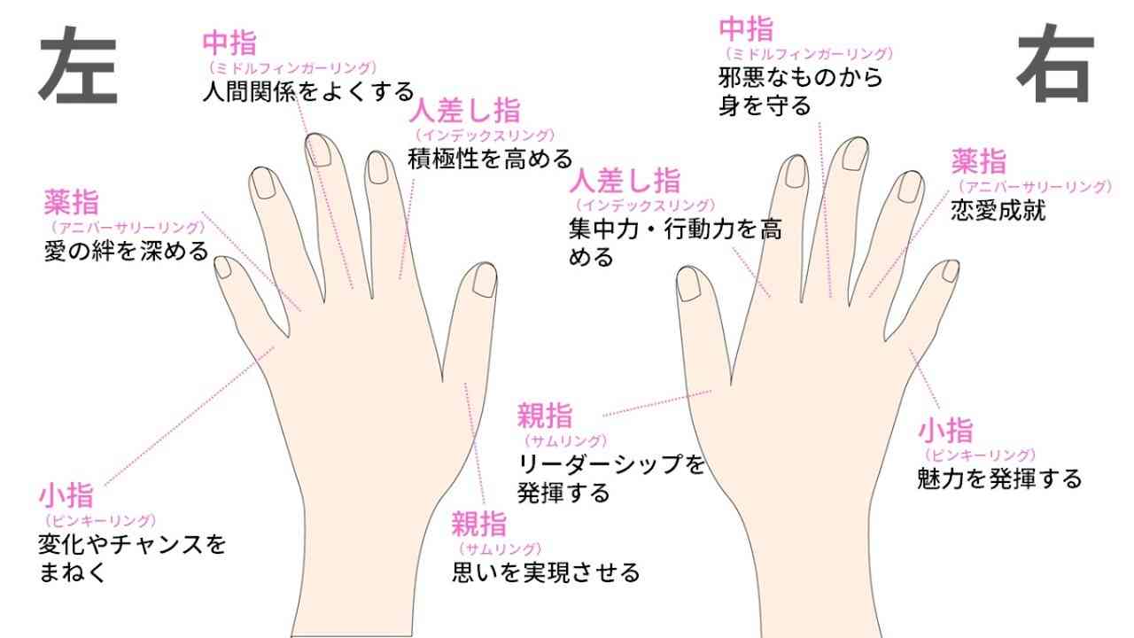 薬指が長い女性は美人が多い？噂の真相とホルモンが暴くモテる理由
