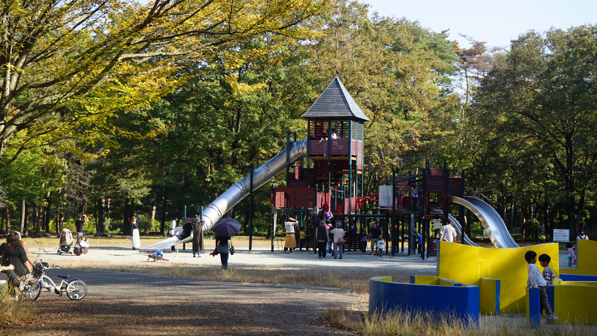 【2026年最新ルポ】四季の彩りと圧倒的開放感！栃木「那須野が原公園」が今、大人のリセット旅とファミリー層に選ばれる理由