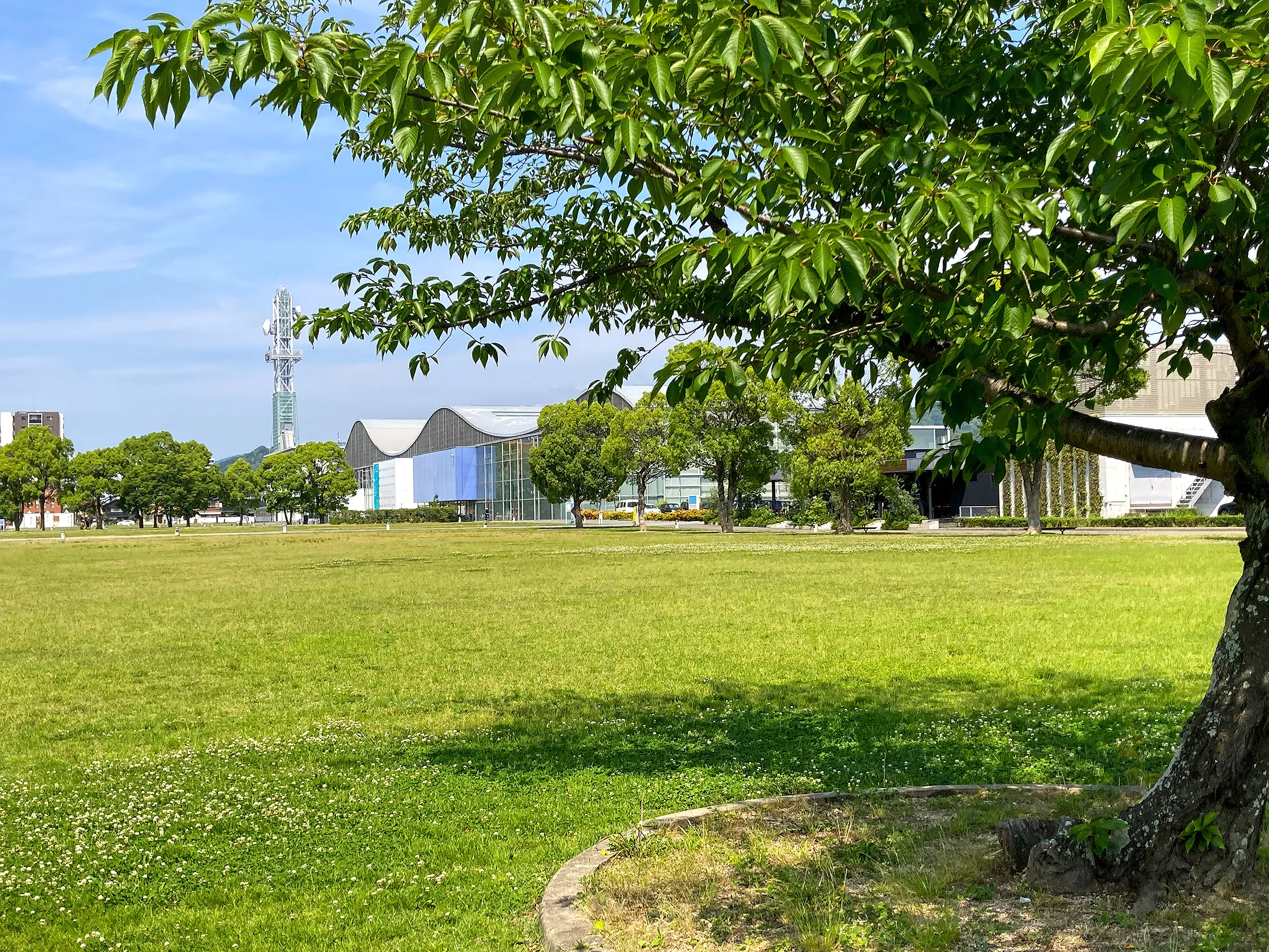 山口市中央公園が子連れに人気の理由！遊具と駐車場を徹底解剖【2026】