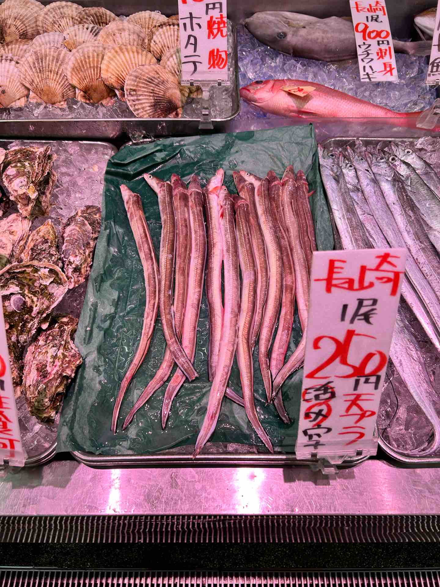 角上魚類諏訪店の混雑回避と狙い目時間！寿司・鮮魚・チラシ完全攻略