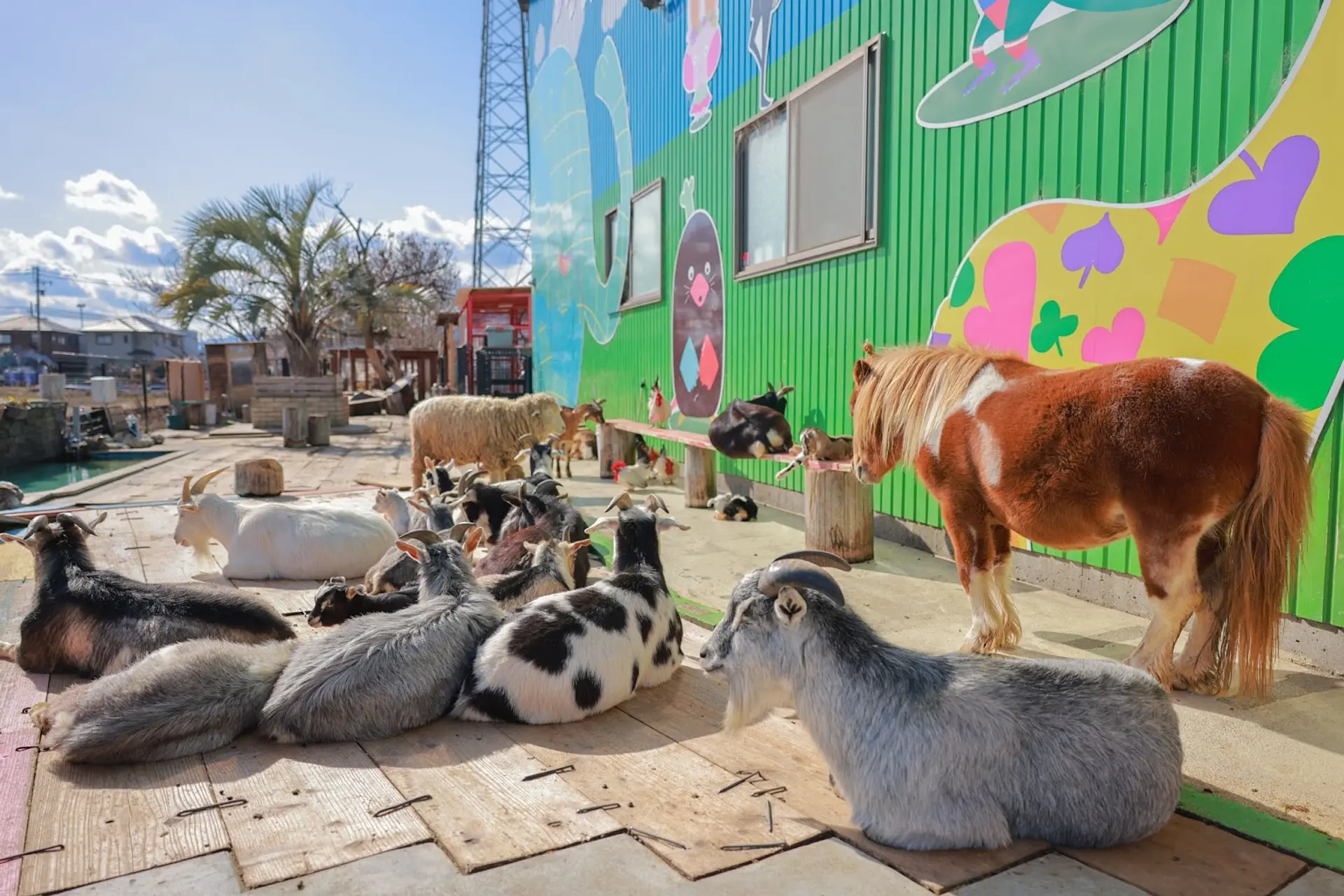 タケガワふれあい動物園が無料の理由は？松阪の穴場を徹底調査
