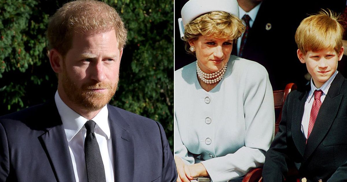 “We’ll Forget Diana Soon Enough”: King Charles’s Chilling Words to Her Brother, Revealed in New Book