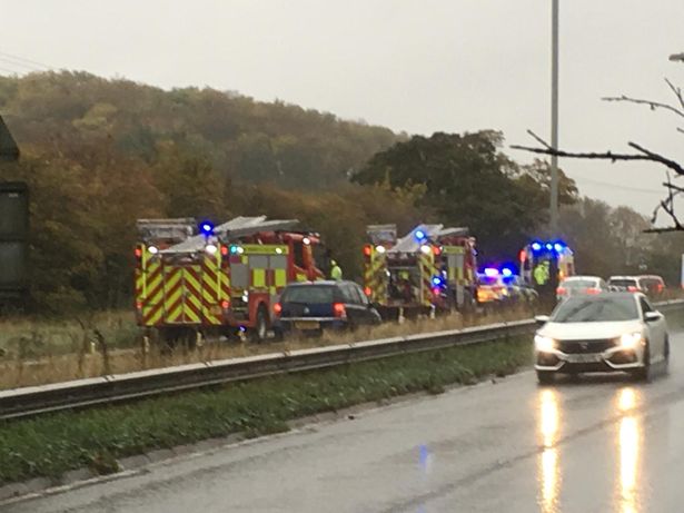 A52 Traffic Was Stopped Due to a Crash Involving Horses
