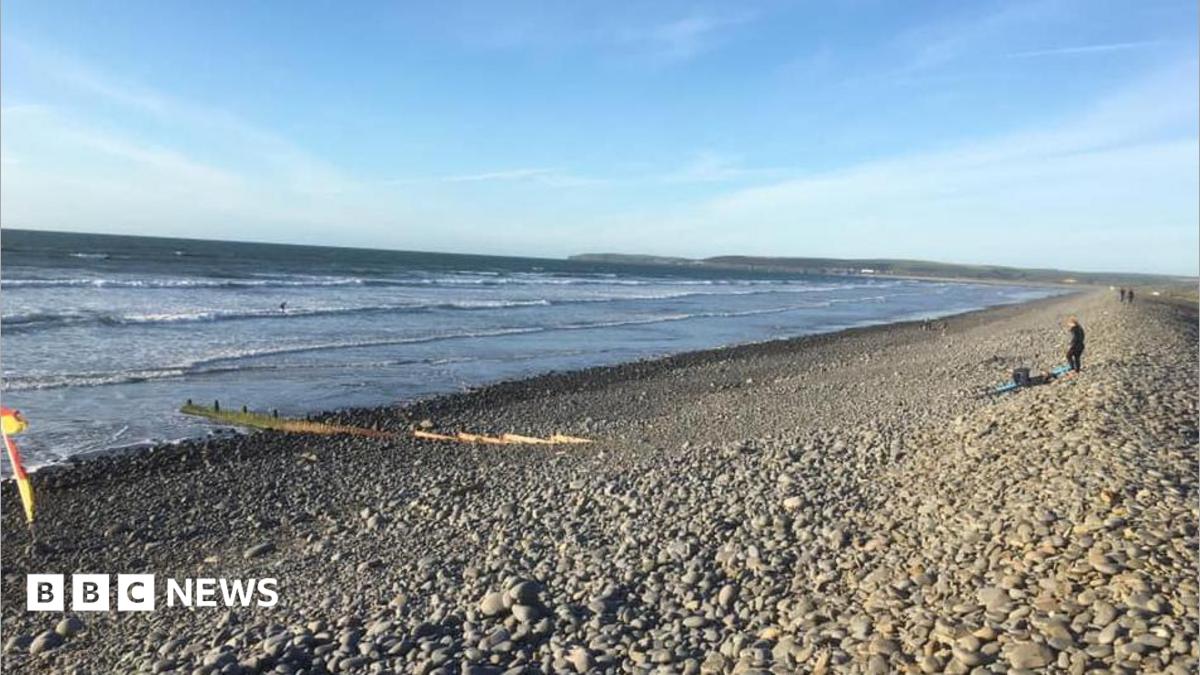 Chicken Bags Wash up Beaches Devon
