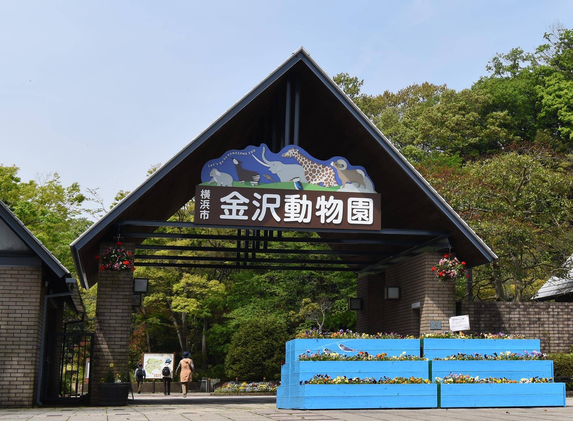 金沢自然公園の人気の秘密とは？2026年最新の混雑回避と徹底攻略