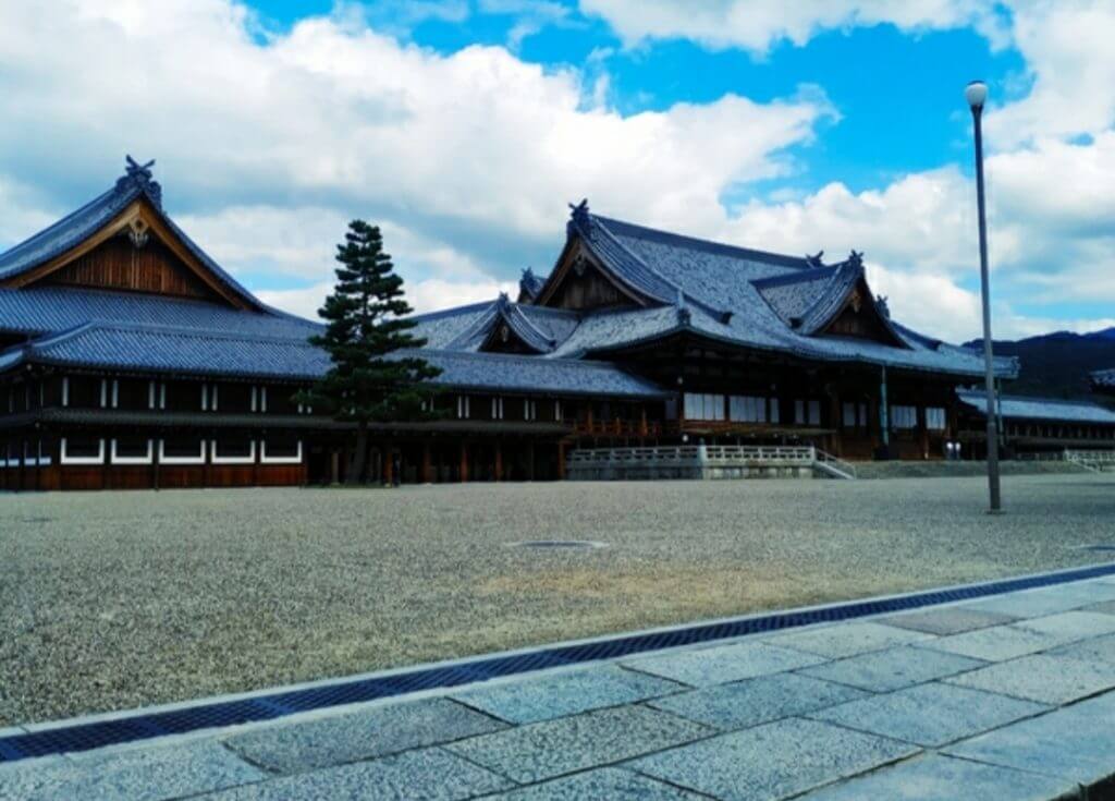 2026年春、激動のスポーツ界が生んだ「天理×福山」の熱き対抗軸！伝統とデータ野球が激突する最新現場を追う