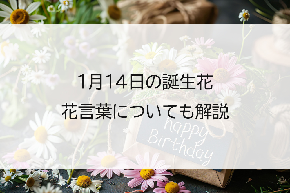 365日のネタが明かす運命の一貫！「誕生鮨」ブームの真実と深層