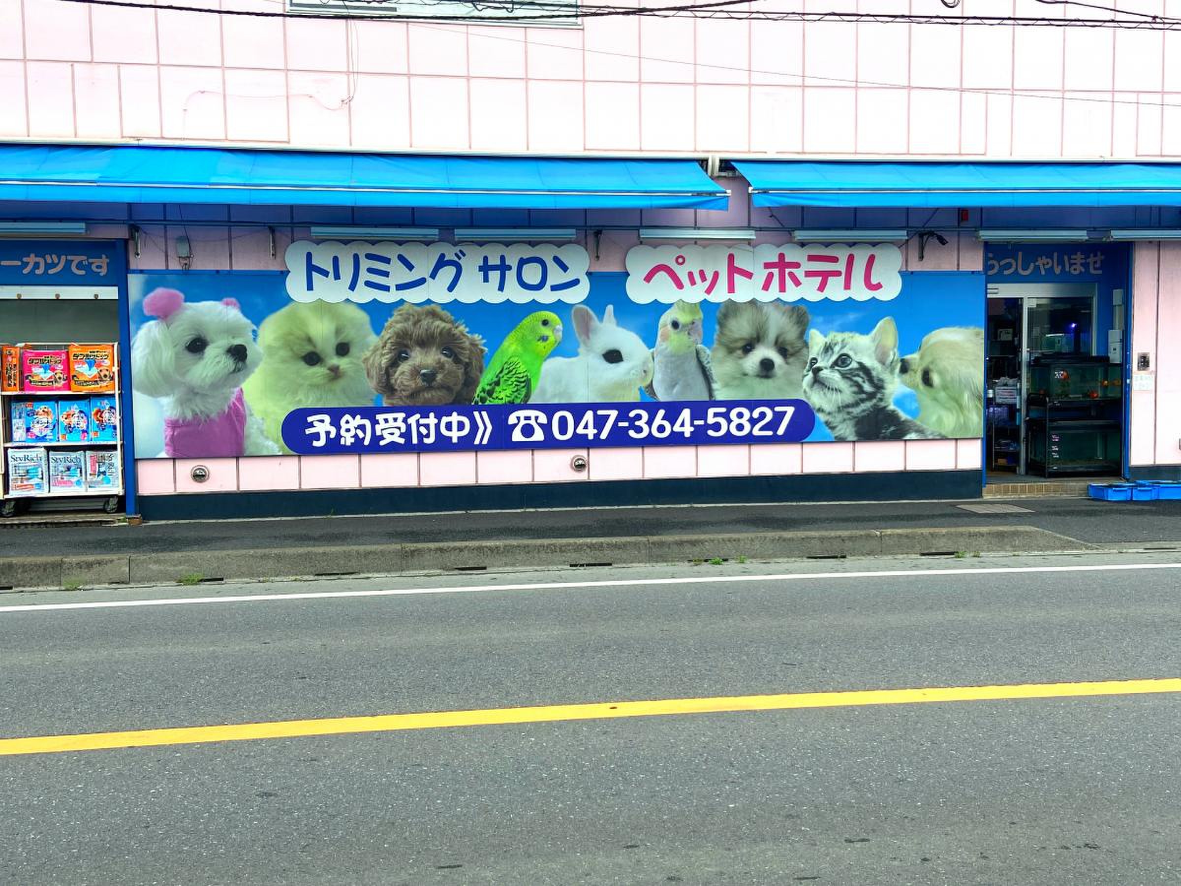 ペットの東葛の評判・口コミは？取扱動物から店舗や料金まで徹底調査