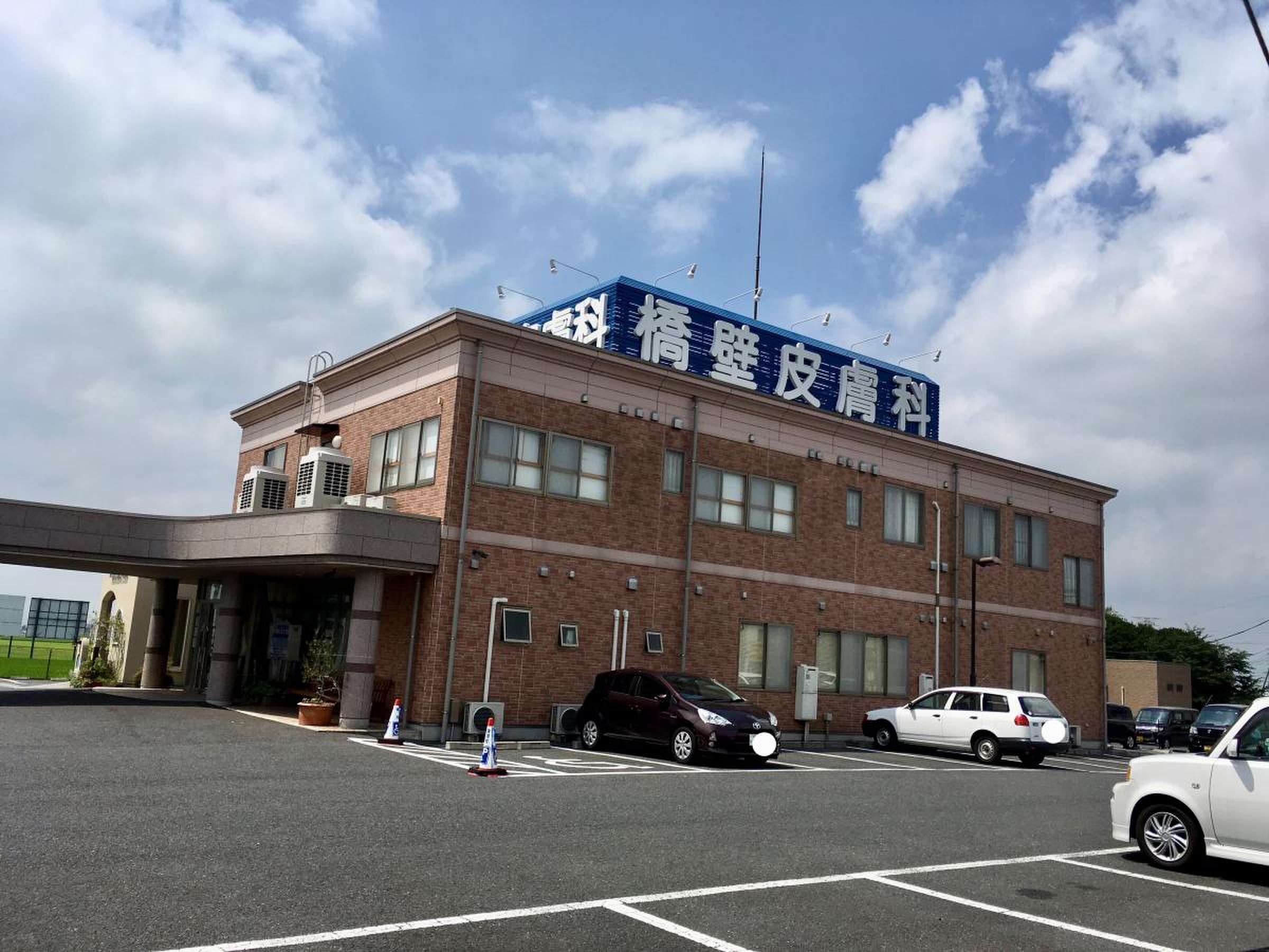 橋壁皮膚科の本当の評判を独自調査！待ち時間短縮の裏ワザと受診前の注意点