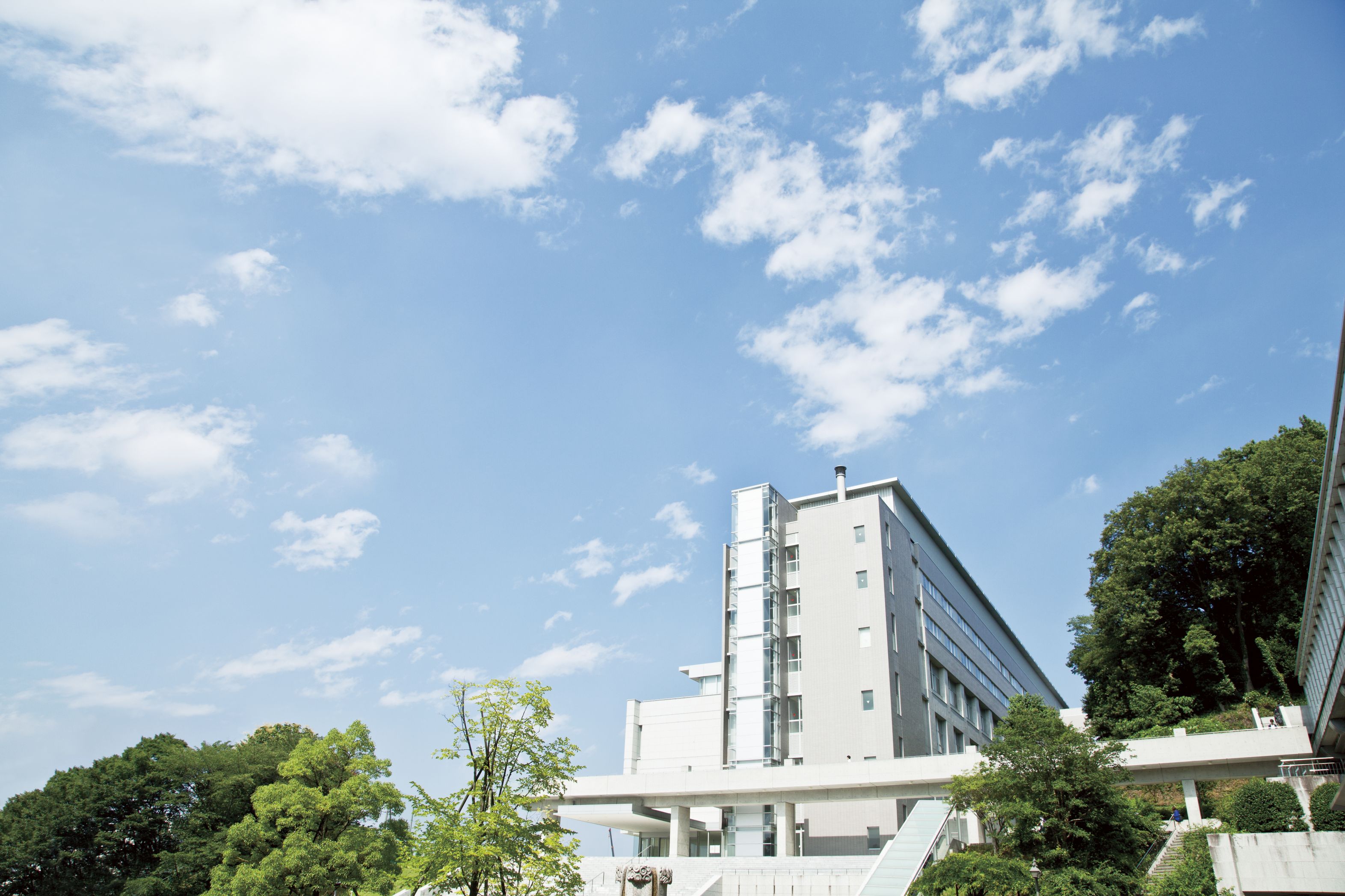 専修大学生田キャンパス完全攻略！穴場スポットと混雑回避ルート