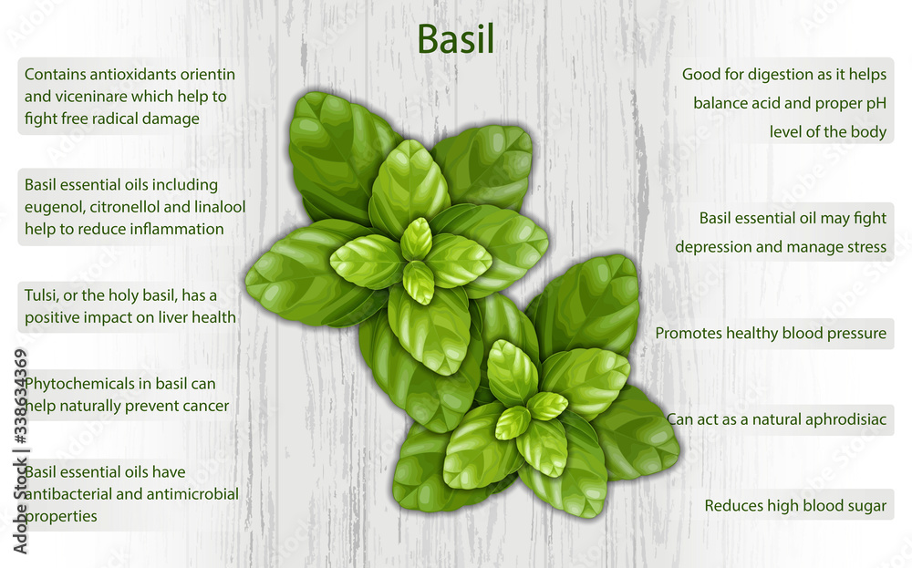 What Are 5 Medicinal Uses for Basil