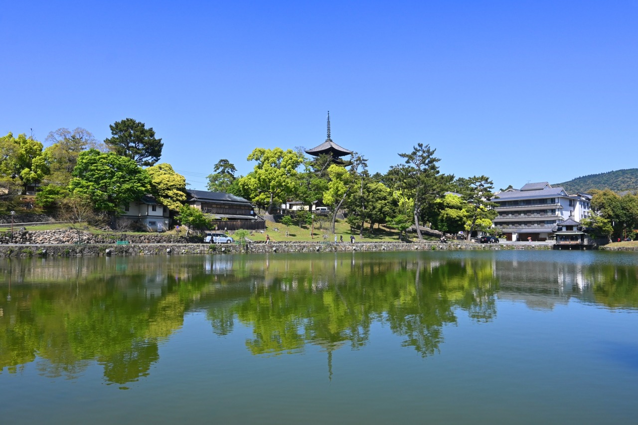 奈良・猿沢池の七不思議と采女伝説の真相！絶景と周辺カフェ徹底ガイド