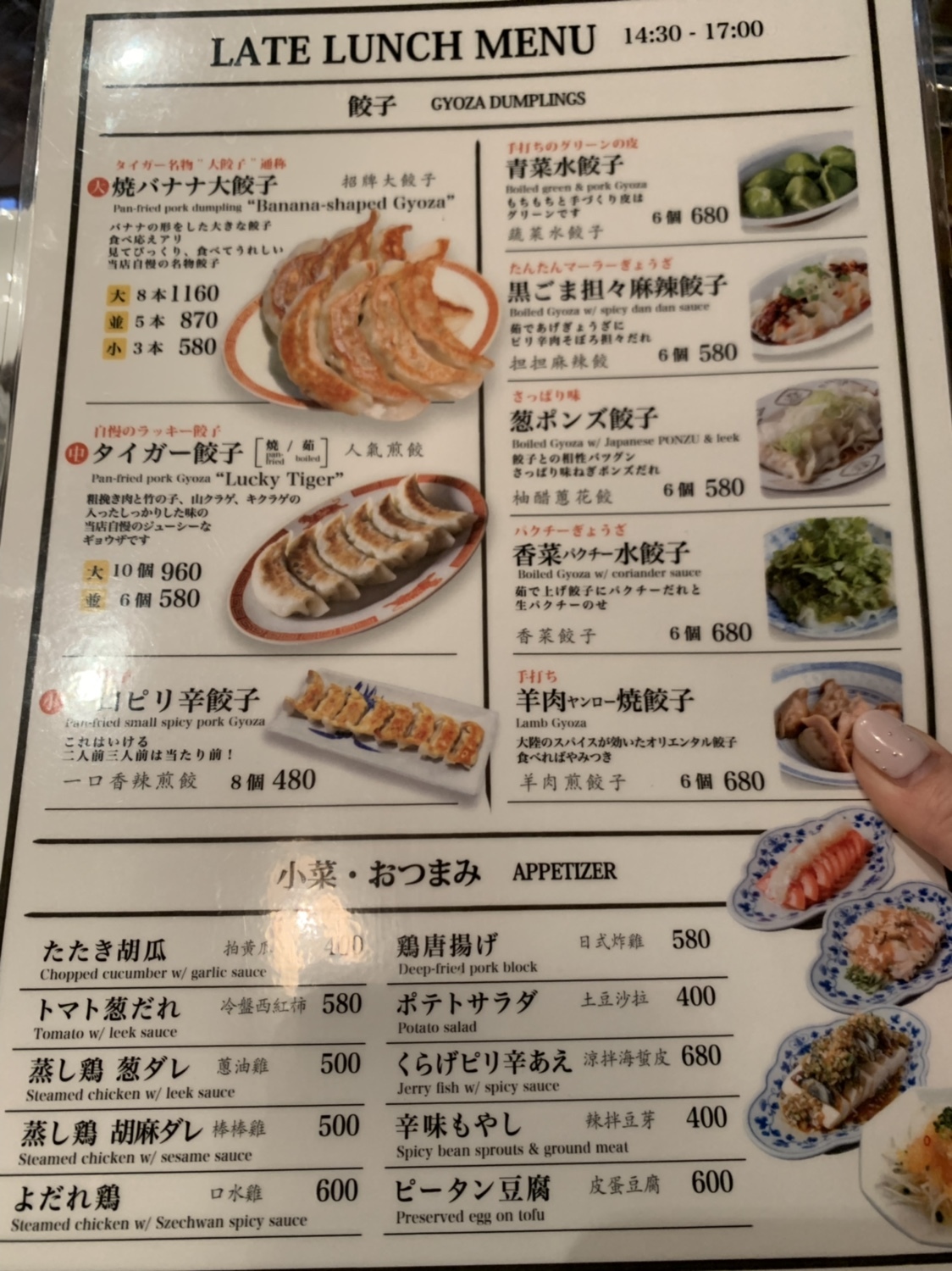 タイガー餃子河原町が愛される理由！名物ぷっくり餃子と評判を検証