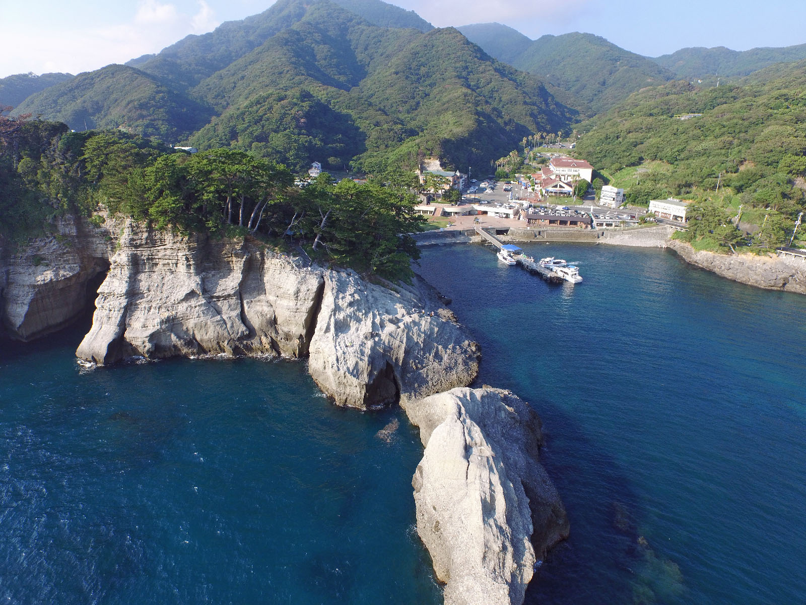 【2026年最新現地レポ】伊豆おおとり荘が大人旅に選ばれ続ける理由とは？富士山を望む川沿い露天風呂と駿河湾の旬を巡る報道取材