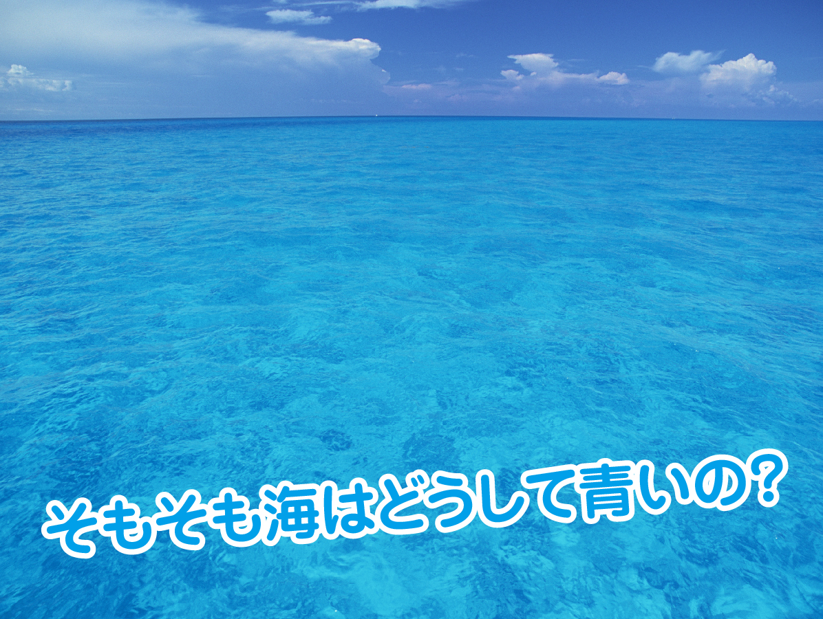 サスケ『青いベンチ』歌詞の意味を徹底考察！誕生秘話と切ない後悔の真相