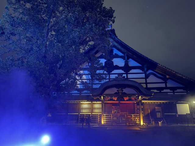 京都の夜が変わる？Z世代が熱狂する深夜の謎解きムーブメントの正体