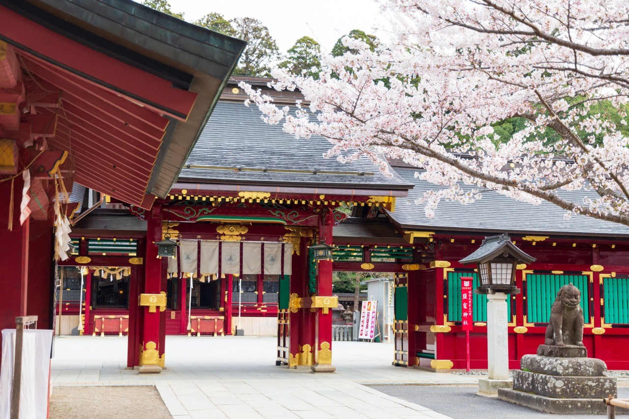 志波彦神社と鹽竈神社の違いとは？歴史の真相とご利益・御朱印を徹底解説