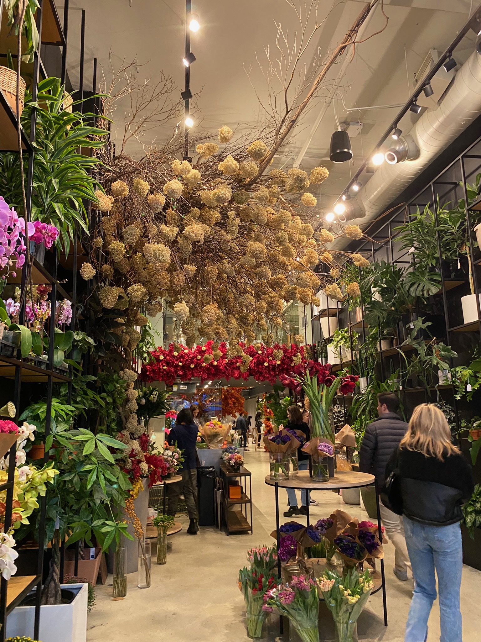 今すぐ買える近くのお花屋さん！営業中店舗・当日配達・失敗しない選び方