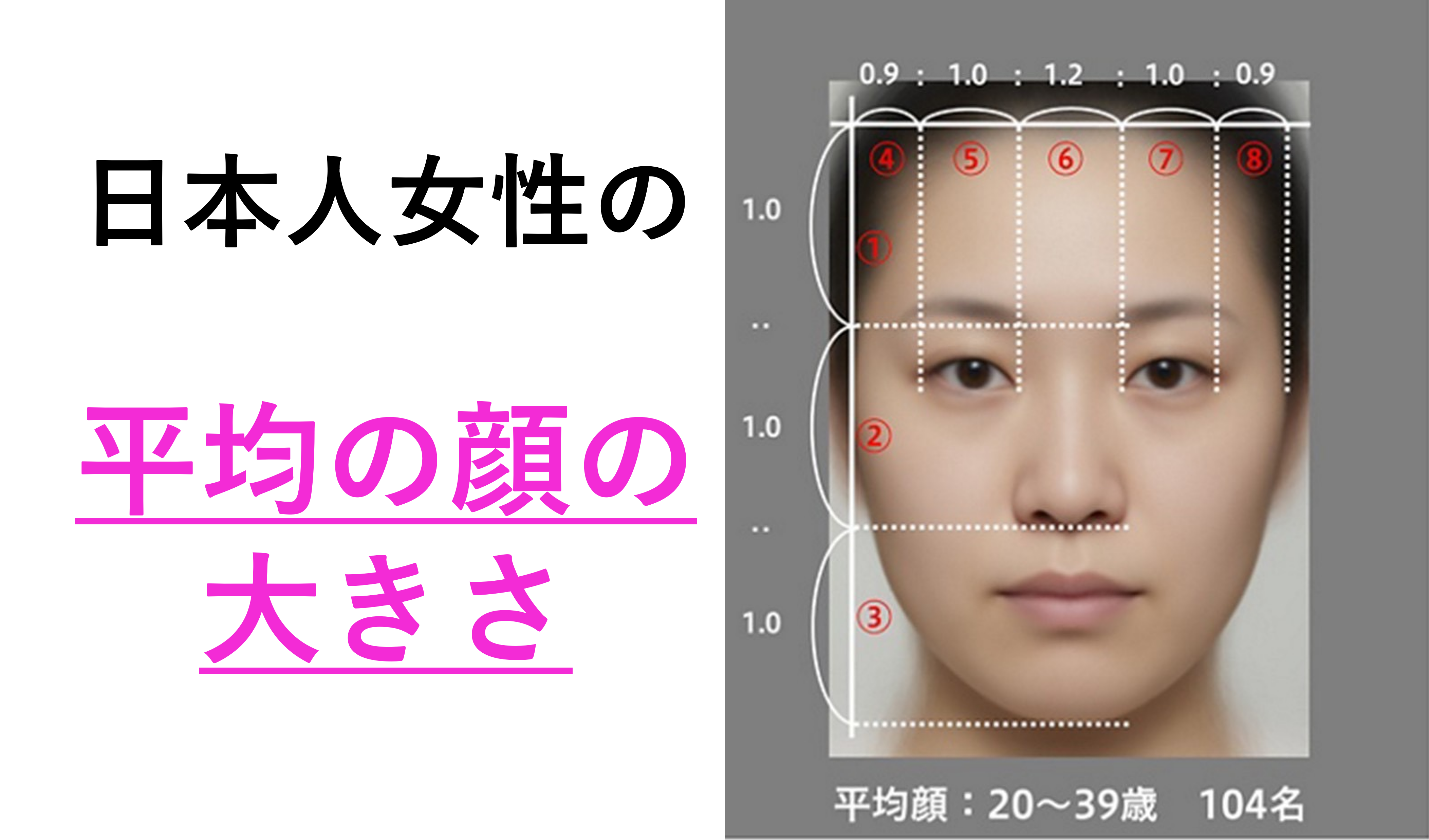顔の大きさ平均男女別データ比較！小顔基準と正確な測り方2026